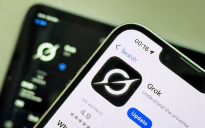 Elon Musk’s Grok Has Friends in High Places