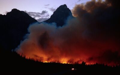 Capitalists Want You to Stop Worrying About Climate Change