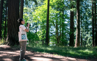 Where did the birds go? Why Oregon’s spring was quieter than usual