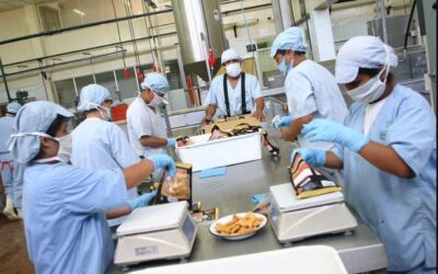 La calidad del empleo a nivel mundial se estanca