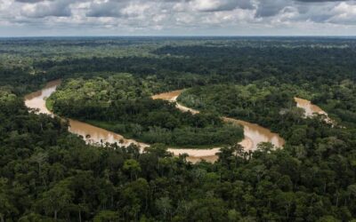 Climate Accountability: Make Big Food Pay Its Ecological Bill