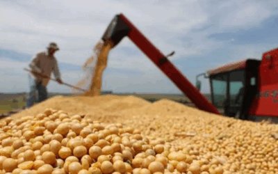 Importación récord de granos en 2025 en México