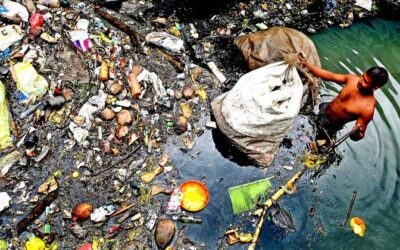 Diez mandamientos para salvar la vida en este planeta – Por Michael Löwy