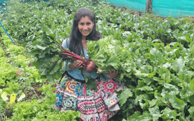 Perú: mercados justos para la agroecología necesitan voluntad política