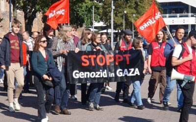 Can Die Linke be saved from itself?